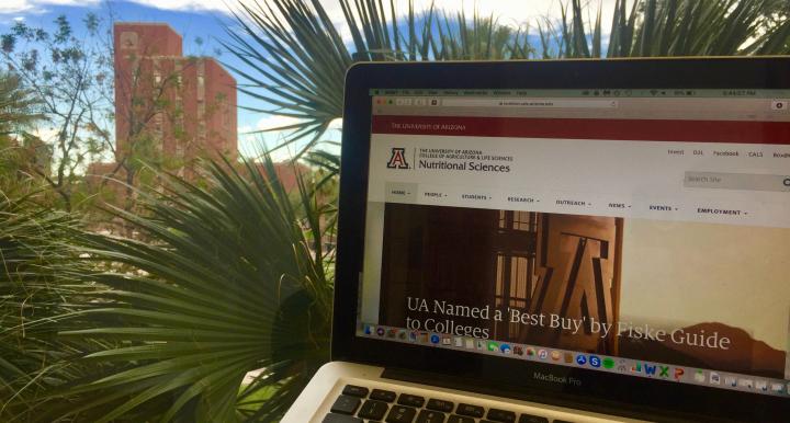 In the foreground, a silver laptop displaying UArizona website. Behind it are palm fronds, and farther back the UArizona campus.
