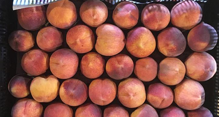 Cochise County peaches from Pivot Produce